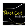 BC8 logo
