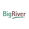 BRI logo