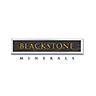 BSX logo