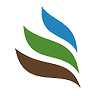 CAE logo