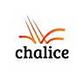 CHN logo