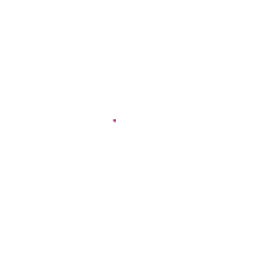 CRI logo