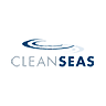 CSS logo