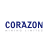 CZN logo