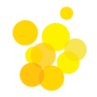 FFM logo