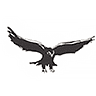 HAW logo