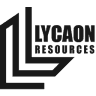 LYN logo