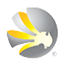 MSV logo