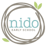 NDO logo