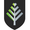 NFL logo