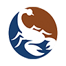 SCN logo