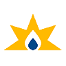 STX logo