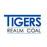 TIG logo