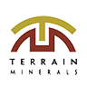 TMX logo