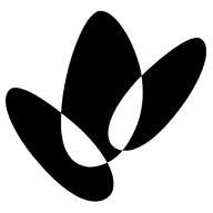WDS logo