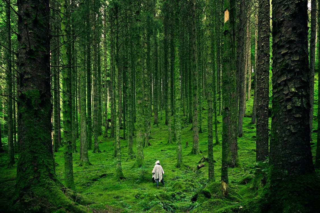 Gen Z and ESG Investing: A New Era of Ethical Finance